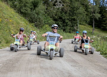 Mountain Gokart auf der Hochwurzen