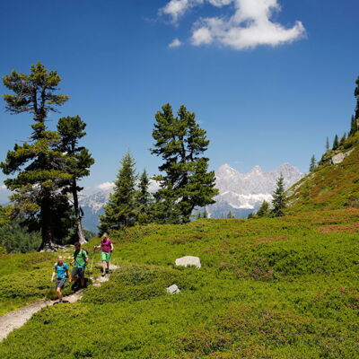 ein Sommer-Wander-Erlebnis