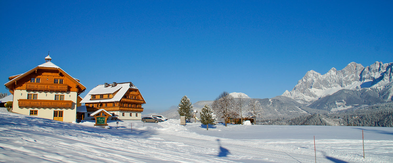 der Alpstegerhof mitten in der Natur, direkt an der Piste