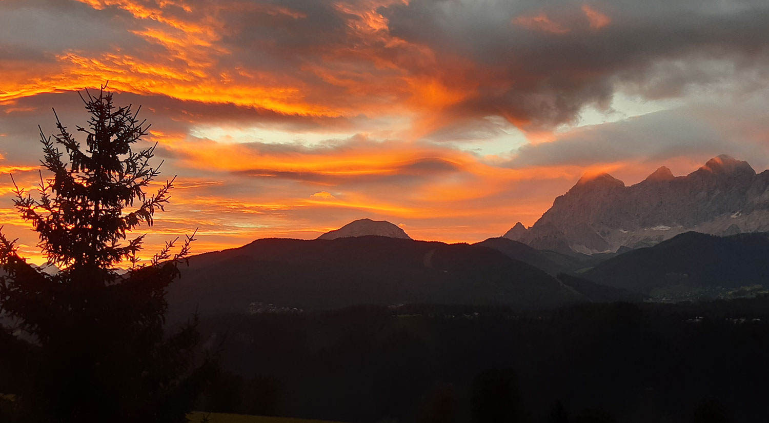 Abendstimmung bei uns am Alpstegerhof
