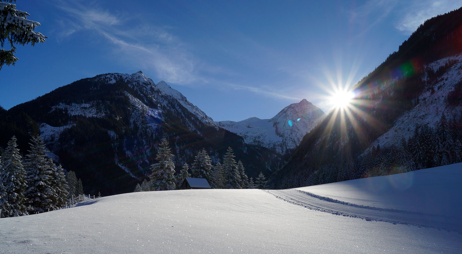 die bezaubernde Winterlandschaft im Rohrmoos